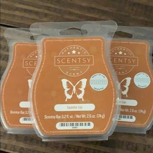 RESERVED *** Scentsy Bars